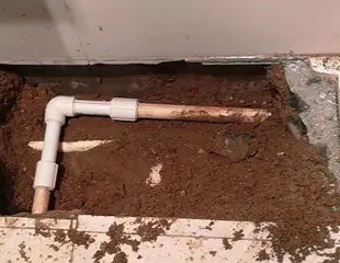 什邡测漏水哪家好