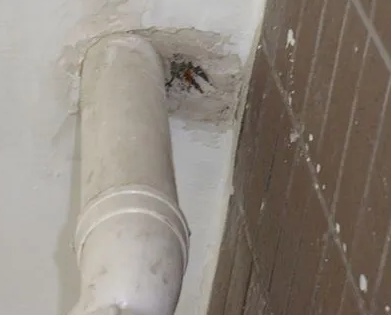 什邡漏水检测哪家好